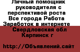 Личный помощник руководителя с перспективой роста - Все города Работа » Заработок в интернете   . Свердловская обл.,Карпинск г.